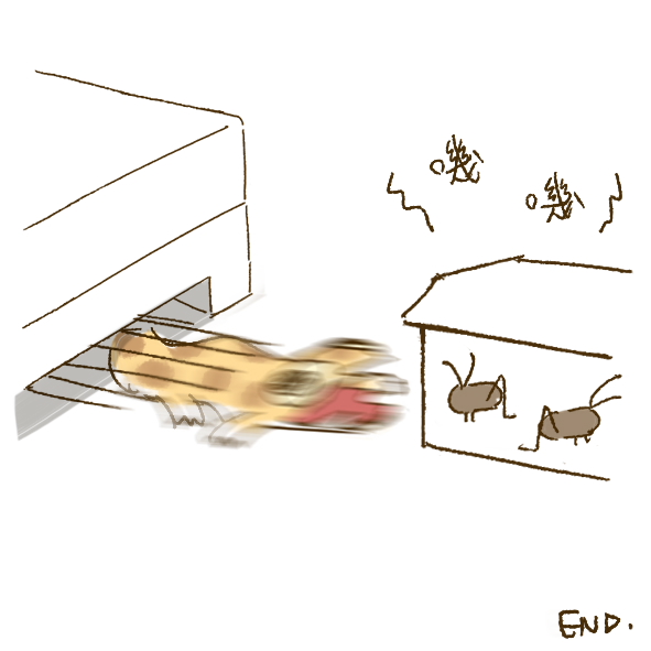 momoniaw's tweet photo. 逃家 https://t.co/FXbhkne62V