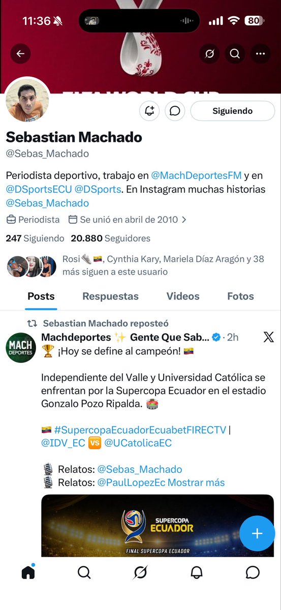 Stefano tweet media