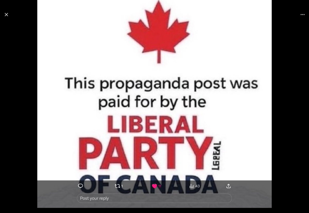 Patrick Harbour tweet media