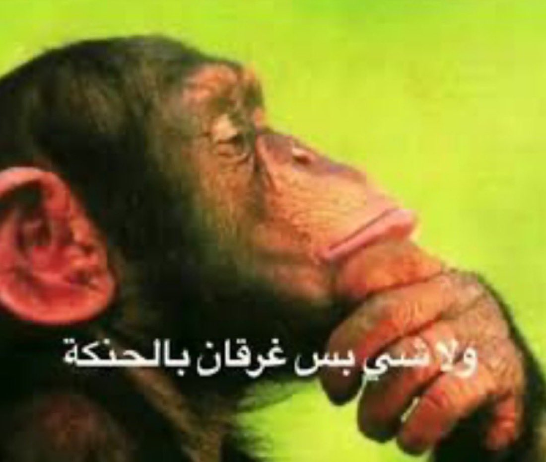 Salman tweet media