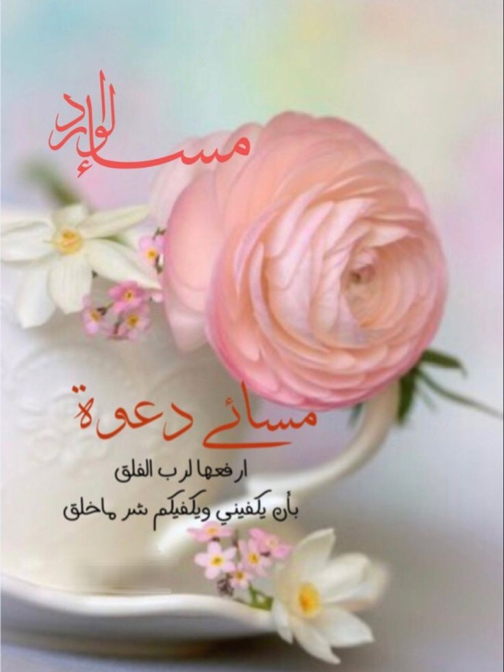 🦋رقية🦋 tweet media
