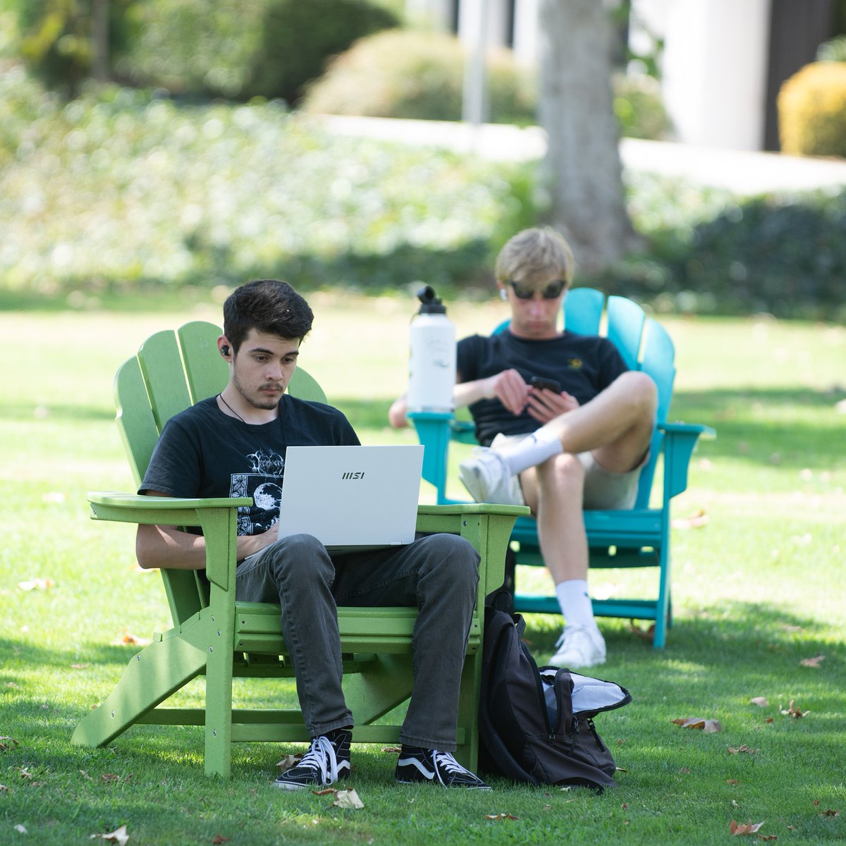 CPP Information Technology tweet media