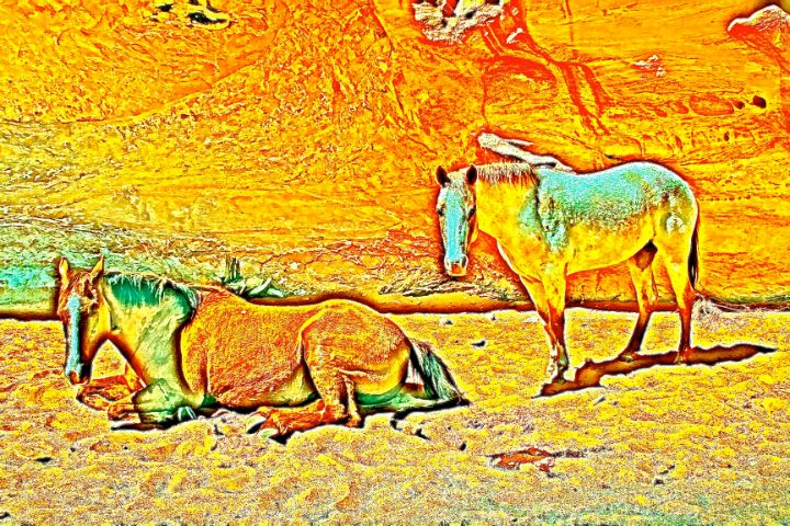 DennisLubrano's tweet photo. Art of the Day! "Posterized Horses". Buy at: https://t.co/wRJep8y8k1 https://t.co/wnVGNBYZAW