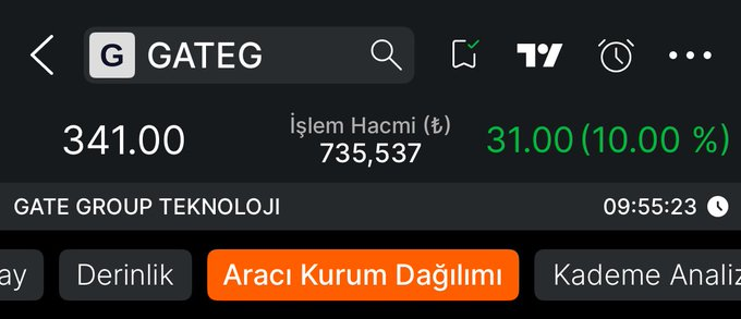 Gülseren Gürler tweet media