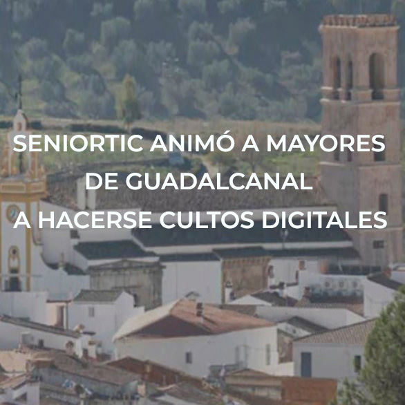 SeniorTic tweet media