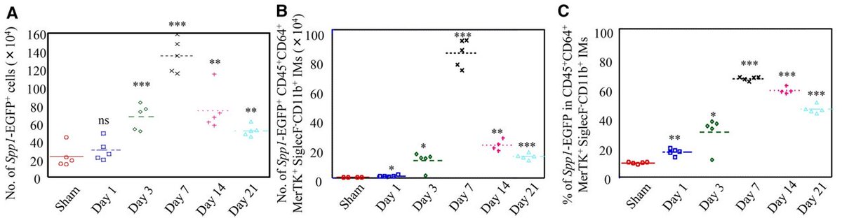 AJRCMB's tweet photo. Interleukin-7 receptor activation in interstitial macrophages promotes lung fibrosis through secreted phosphoprotein 1

https://t.co/3mFXS2BEia

@atscommunity https://t.co/bDUnaR6VwU