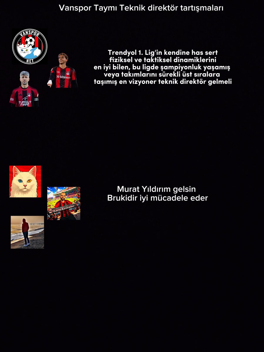 MİSTİK VANSPORLU tweet media