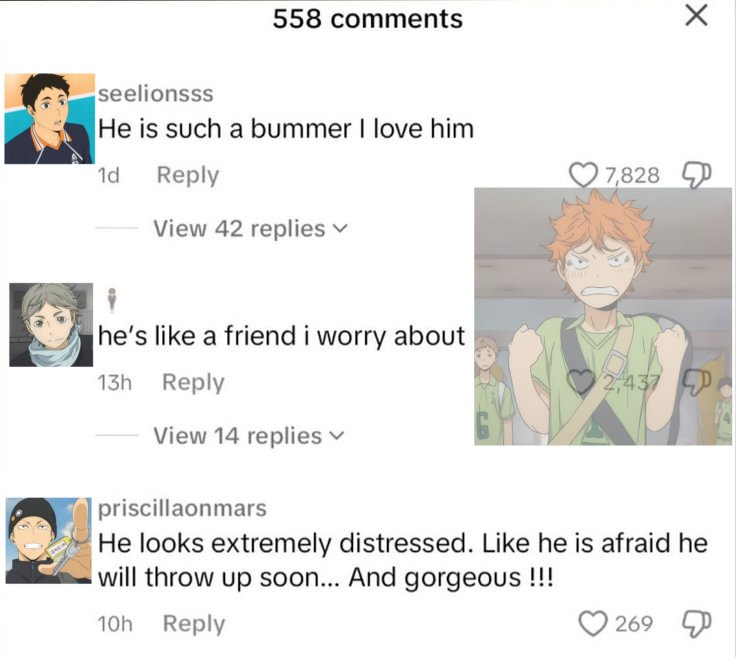 Shiratorizawa Shady Facts tweet media