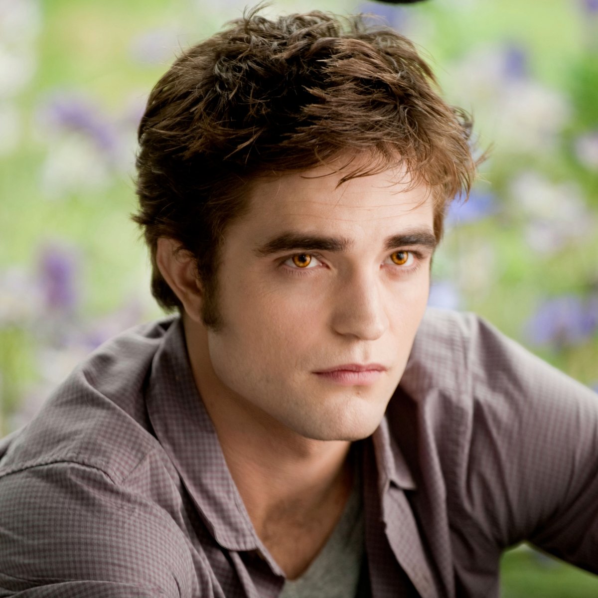 THE TWILIGHT SAGA 🍎 tweet media