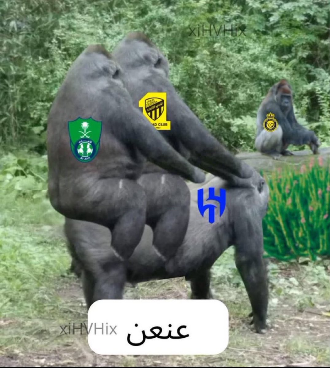 ًً tweet media