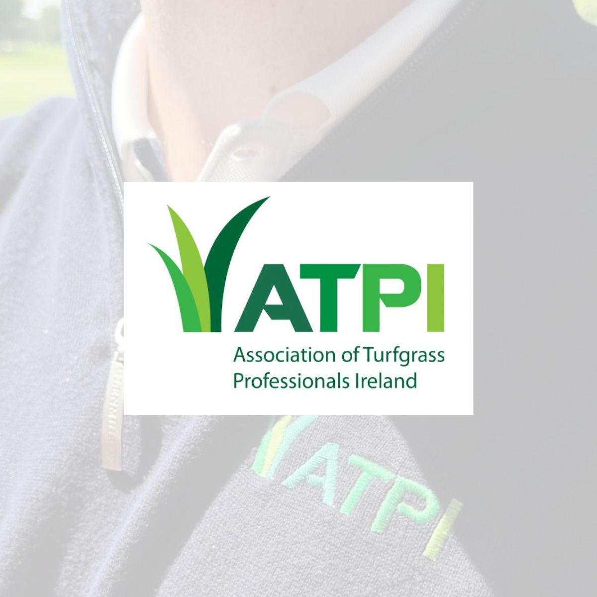 ATPI☘ tweet media
