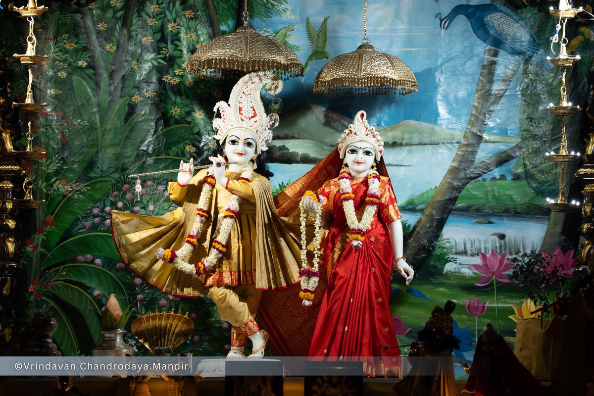 Vrindavan Chandrodaya Mandir tweet media