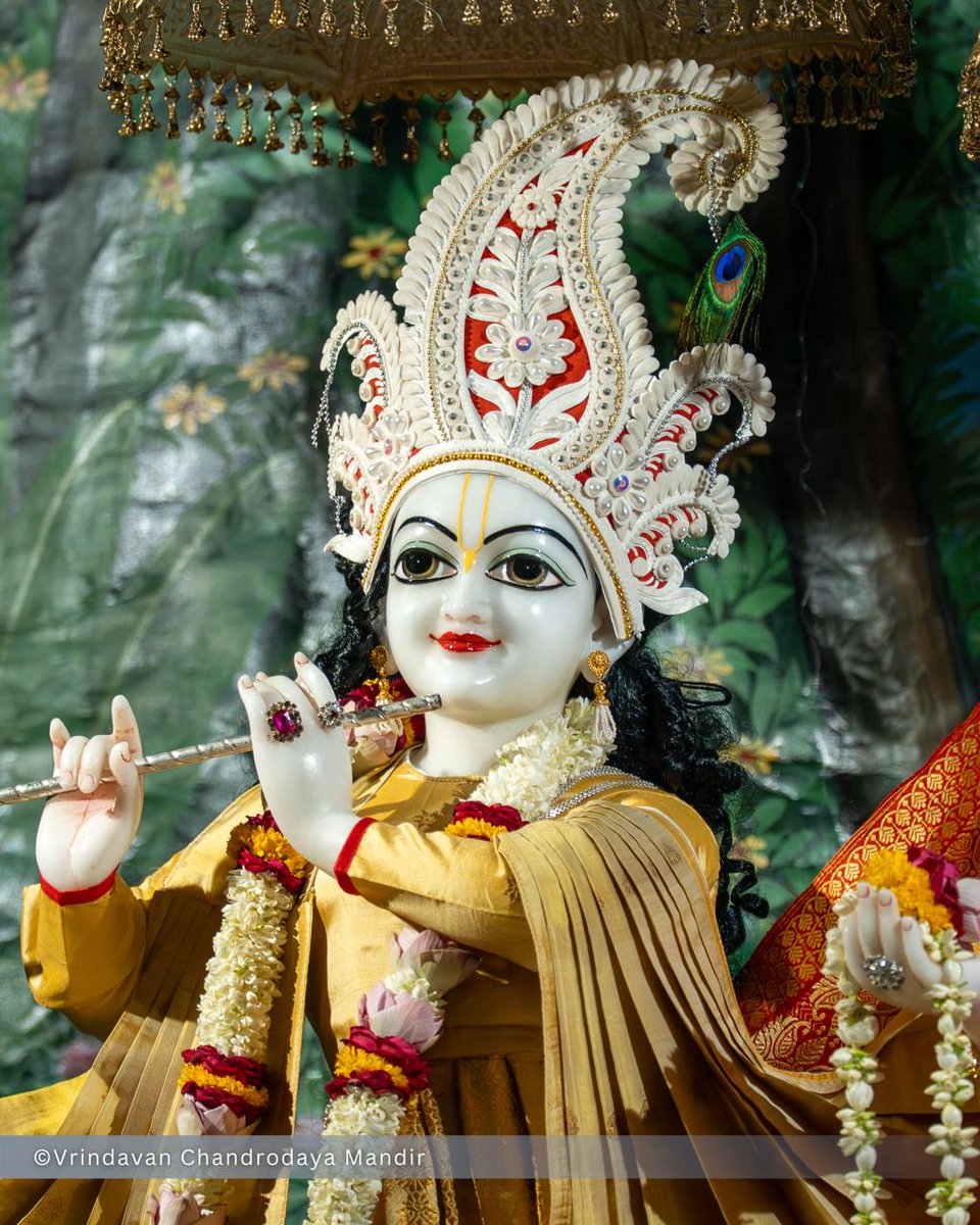 Vrindavan Chandrodaya Mandir tweet media