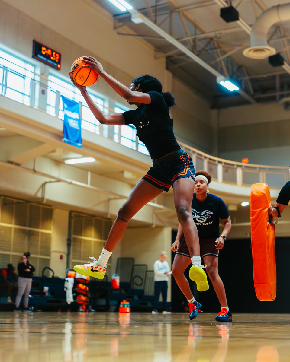 UTSAWBB's tweet photo. No Days Off! 

#BirdsUp 🤙 | #LetsGo210 | #CashIn 🏀 https://t.co/CtK8D5ARLn