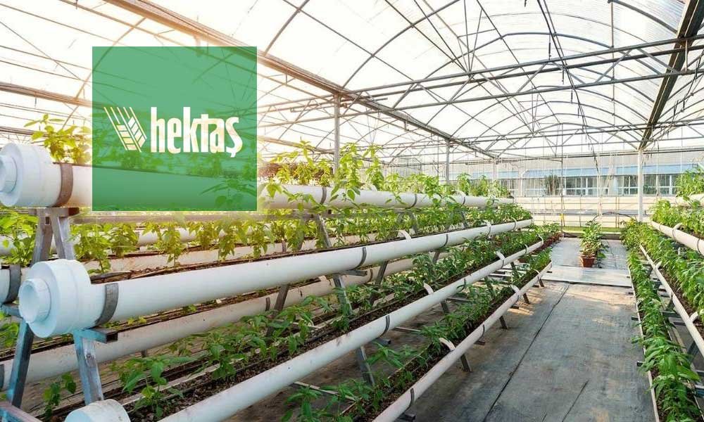 Borsa Efendisi tweet media