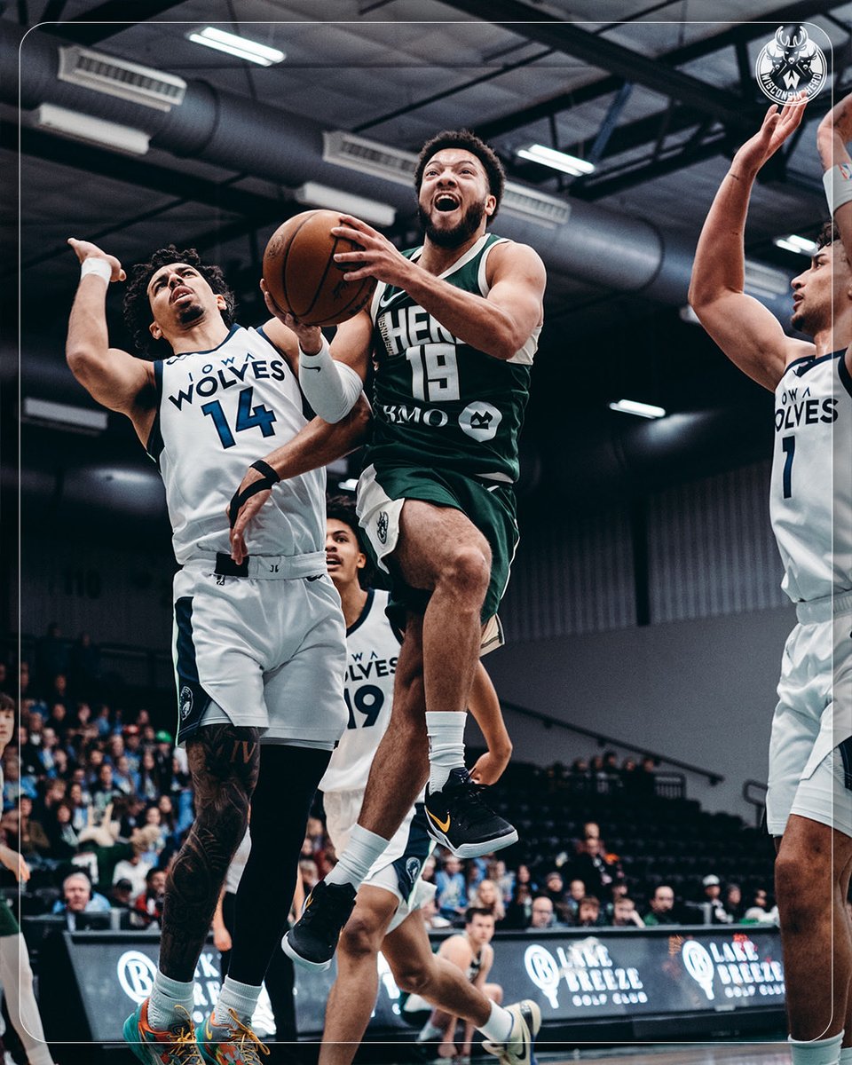 Wisconsin Herd tweet media