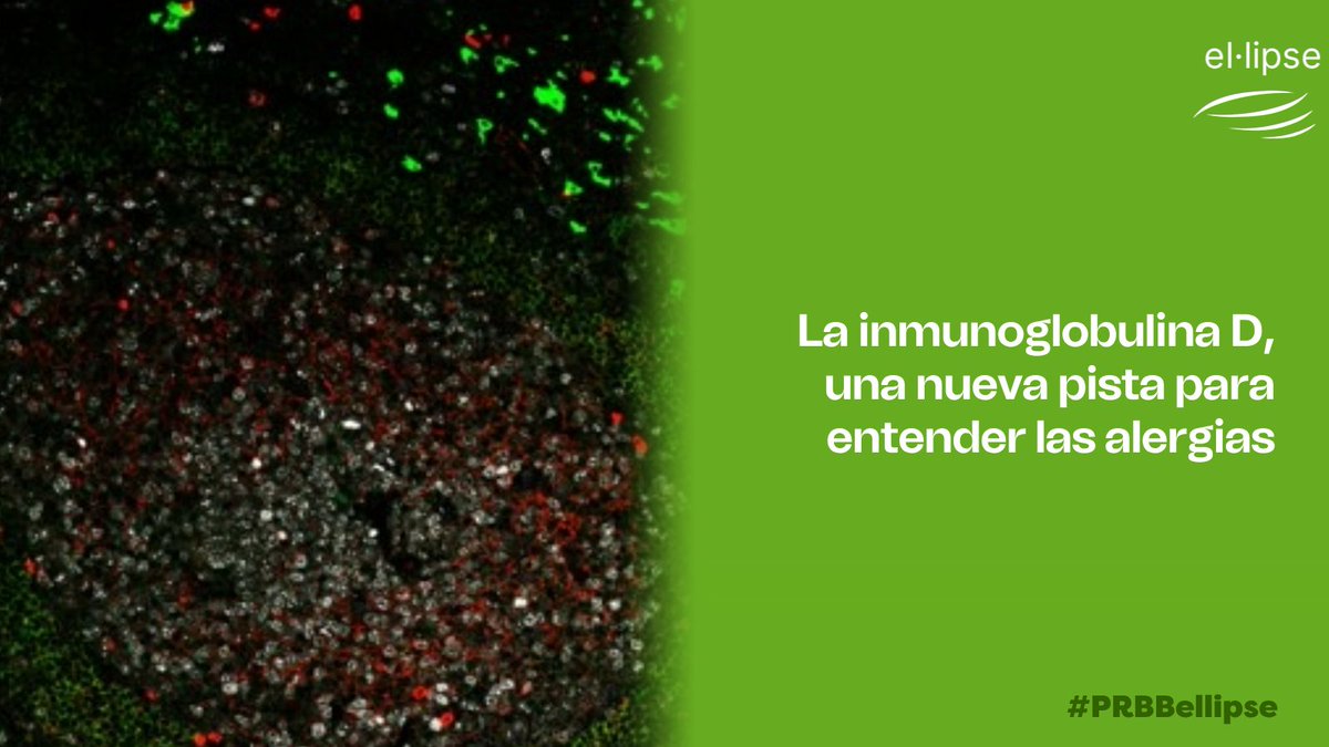 Biomedicina BCN tweet media
