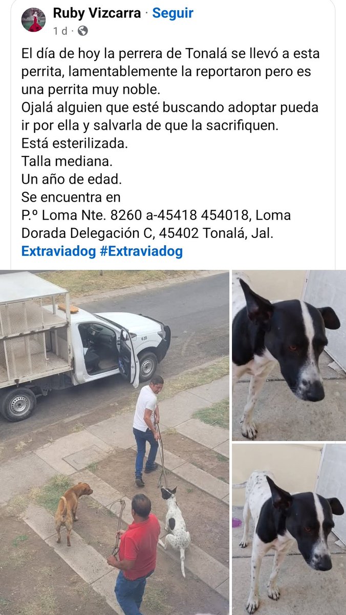 Abogado Animalista tweet media