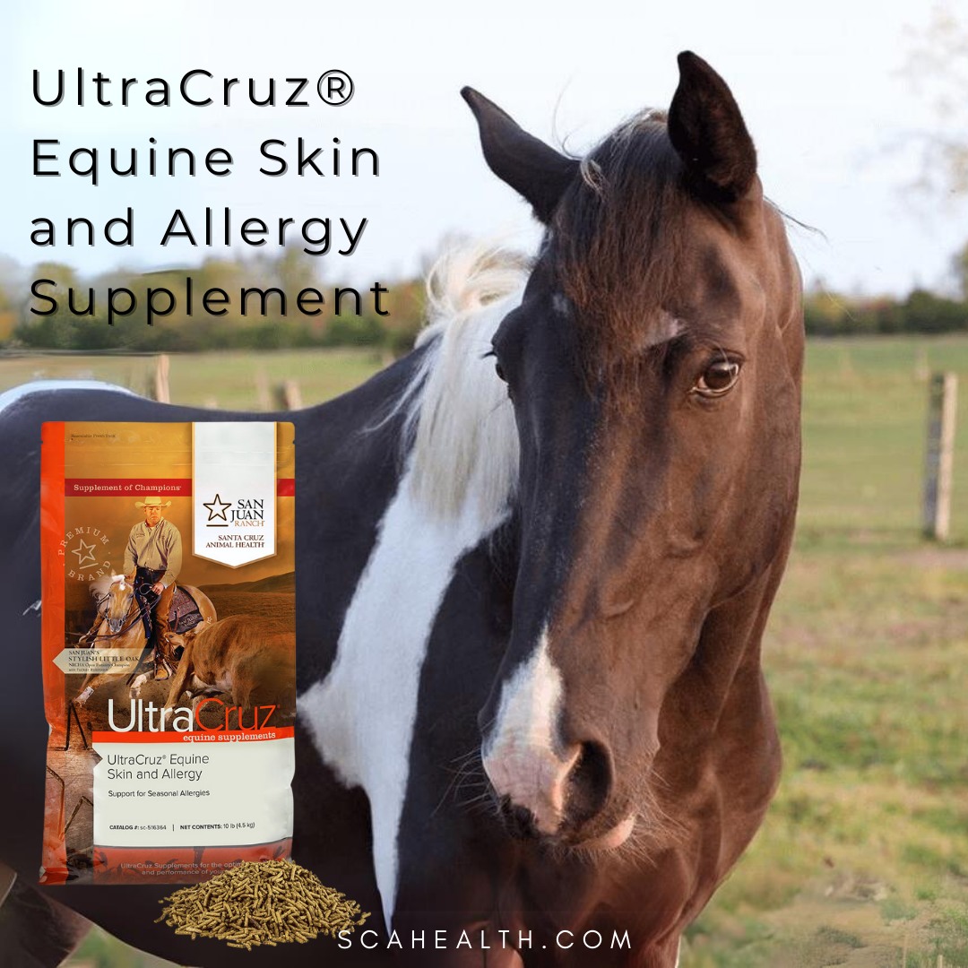 Ultra_Cruz's tweet photo. UltraCruz® Equine Skin and Allergy Supplement
🦄 Contains DHA and Quercetin 
🦄 Helps support normal histamine levels 
🦄 Seasonal allergy support 
🦄 Provided as an easy to use pellet; also available in powder form
#PoweredByUltraCruz
#UltraCruz
#SupplementOfChampions
#Equine https://t.co/7taIaeWrUB