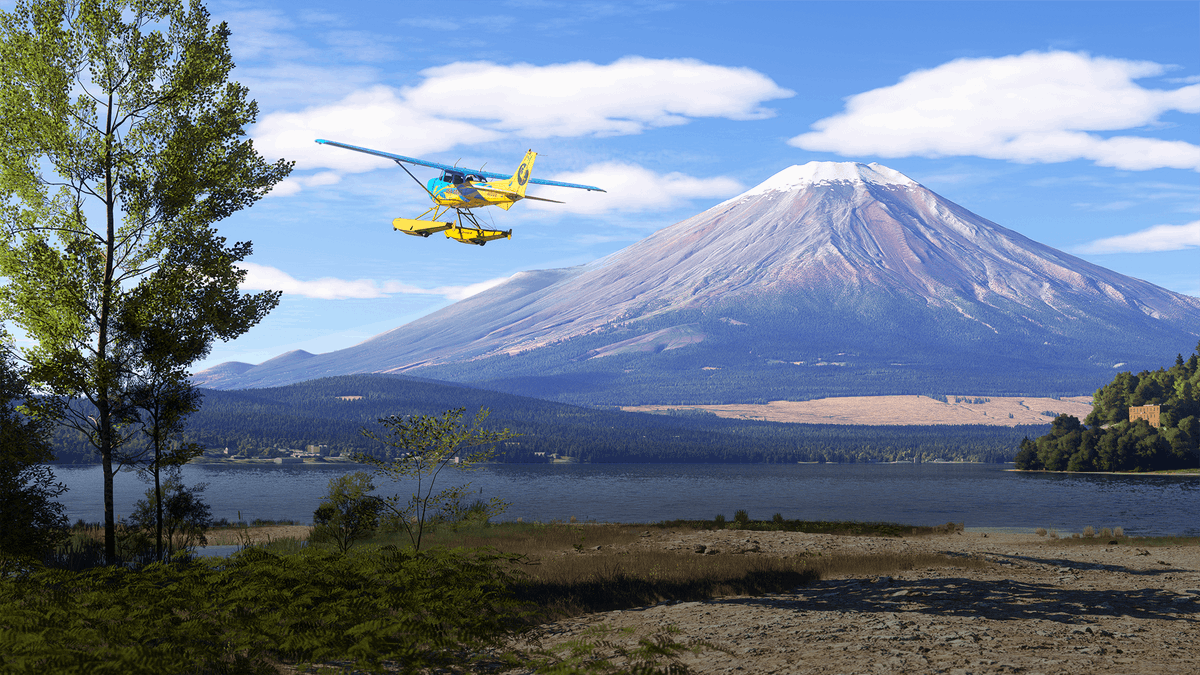 Microsoft Flight Simulator✈️ tweet media