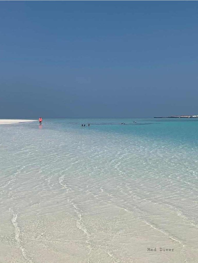 amranthelionne's tweet photo. 🌊🇩🇯 Djibouti, a haven for Red Sea lovers. Whether you love magnificent beaches, extraordinary underwater landscapes, or fishing, one thing is certain: Djibouti is the place to be.
Here, there's no mass tourism that degrades the environment.
Just calm, purity, and a beautiful, peaceful Red Sea teeming with exceptionally rich marine life: corals, dolphins, turtles, multicolored fish a true sanctuary.
It's a destination for passionate individuals, those seeking authenticity, unspoiled nature, and genuine experiences.
#Djibouti 🇩🇯🥰🫶
