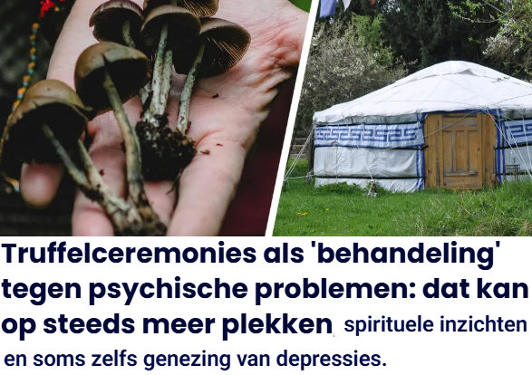 DrugsInDebat's tweet photo. Guild of Guides stelt richtlijnen op voor tripfacilitators en retraites,
zodat ze iedereen een inspiratievolle en veilige ervaring kunnen bieden https://t.co/TcDW0XsK6a

En onderzoek voor toepassing in reguliere zorg is ook veelbelovend! #eenvandaag #drugs https://t.co/8vcKYzQpLx https://t.co/oSlmgACVc7