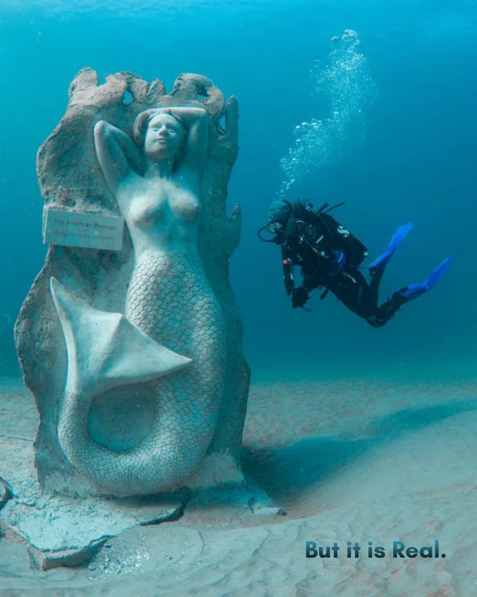 Ocean Rescue Alliance Intl. tweet media