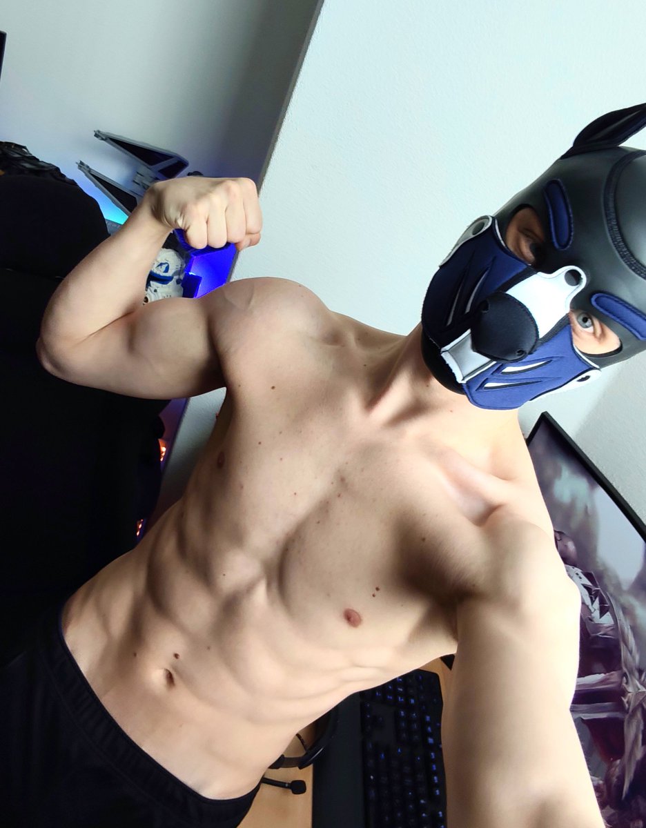Pup Dutch 🔜 🇬🇧Animalz tweet media