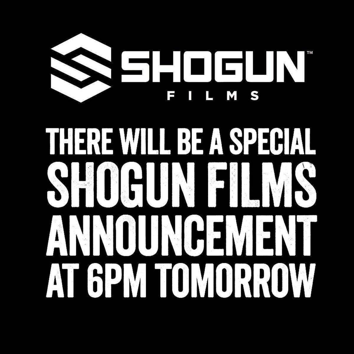 SHOGUN FILMS ® tweet media