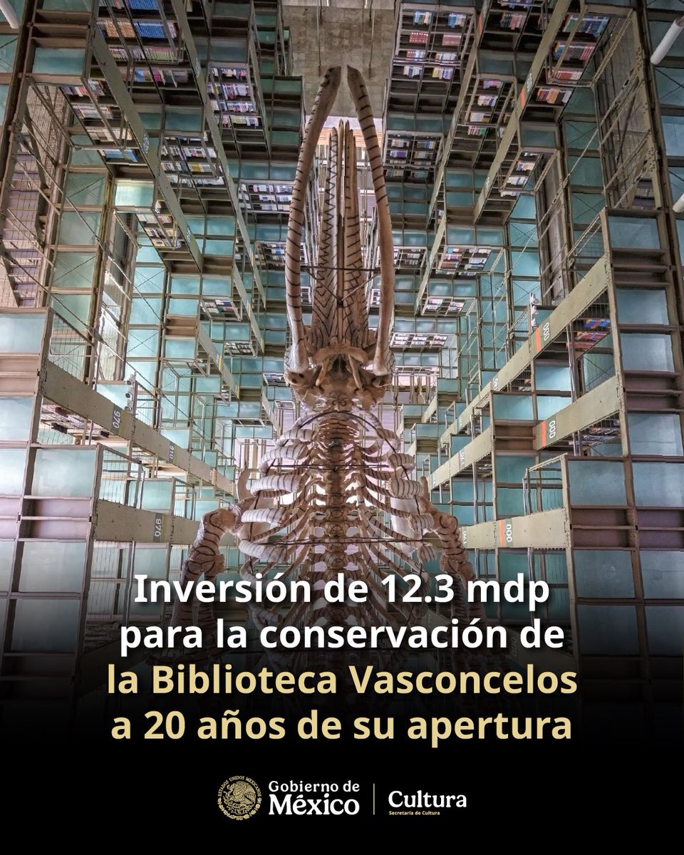 Claudia Curiel de Icaza tweet media