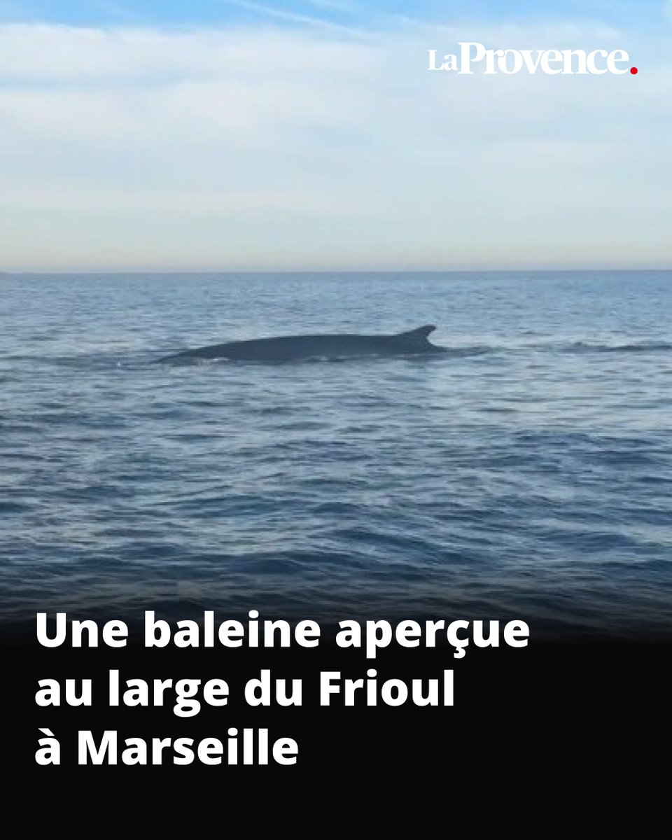 La Provence tweet media