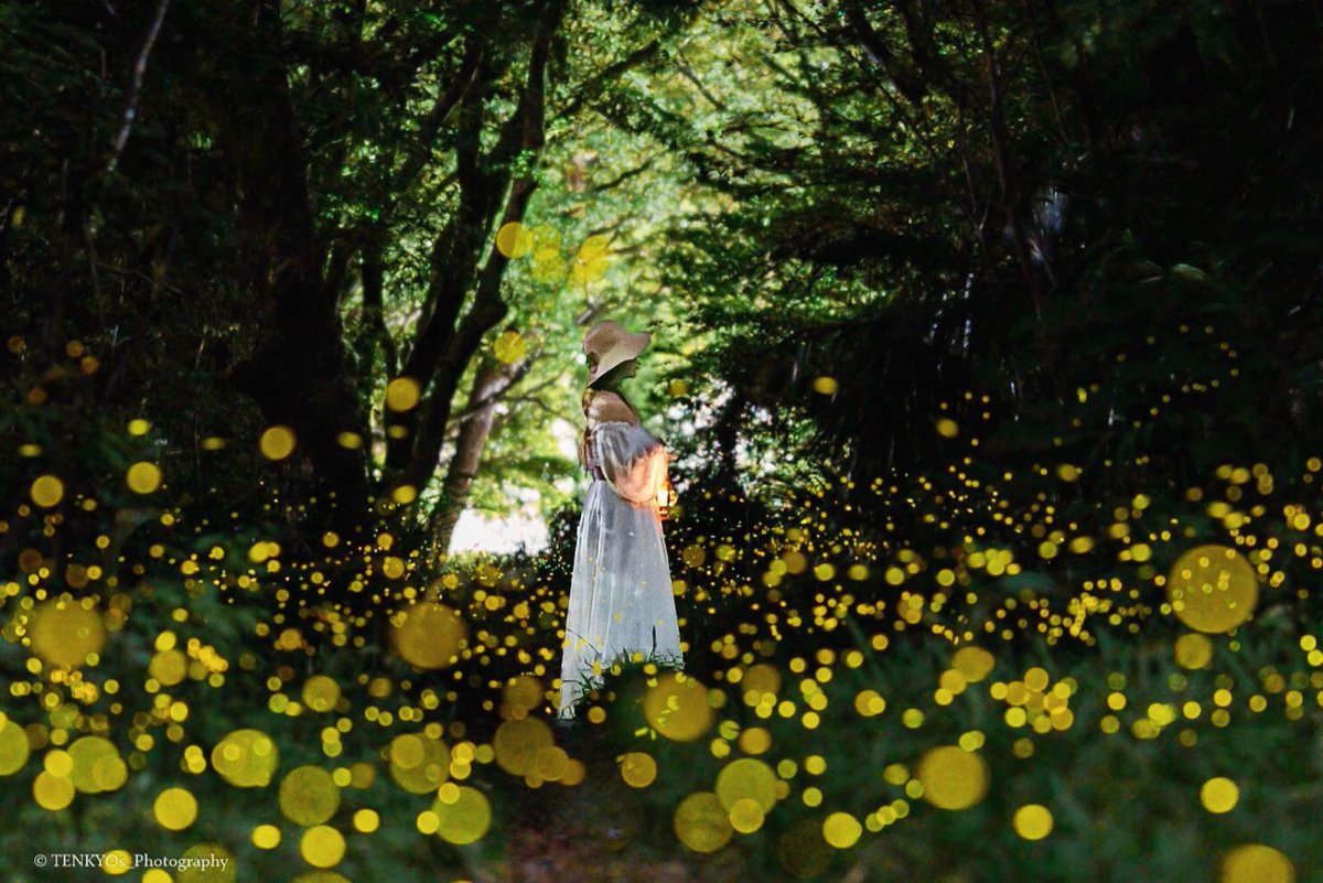 天京@Photography tweet media