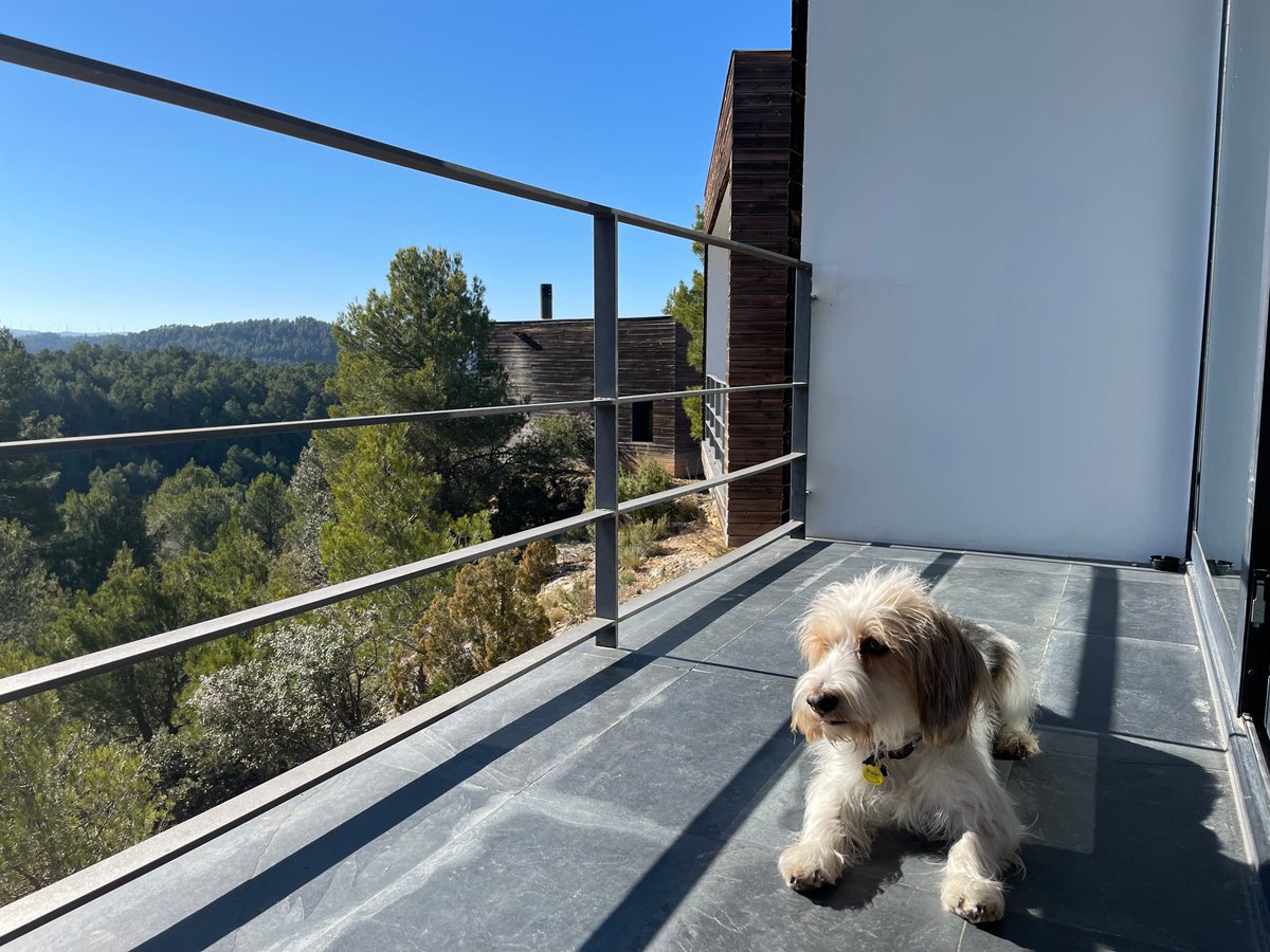 ConsolacionH's tweet photo. ¡Por supuesto que somos #petfriendly!   Él es Bartok (y no negaremos que es VIP) 🐶 
#hotel #hotelviews #travel #viaje #viatge # #reise #travelgram #instatravel #architecture #arquitectura #diseño #design #Spain #España #Aragón #Teruel #Matarranya #nature #rural #Petfriendly https://t.co/Lt6ZVzd207