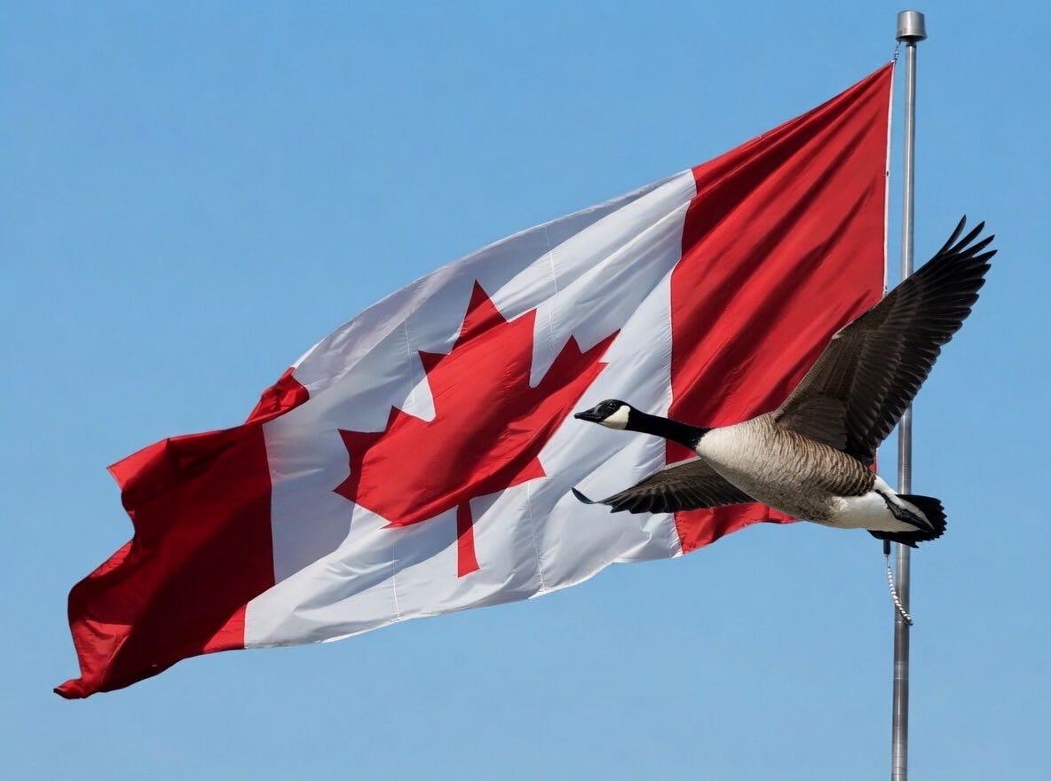 United Canada 🇨🇦 tweet media