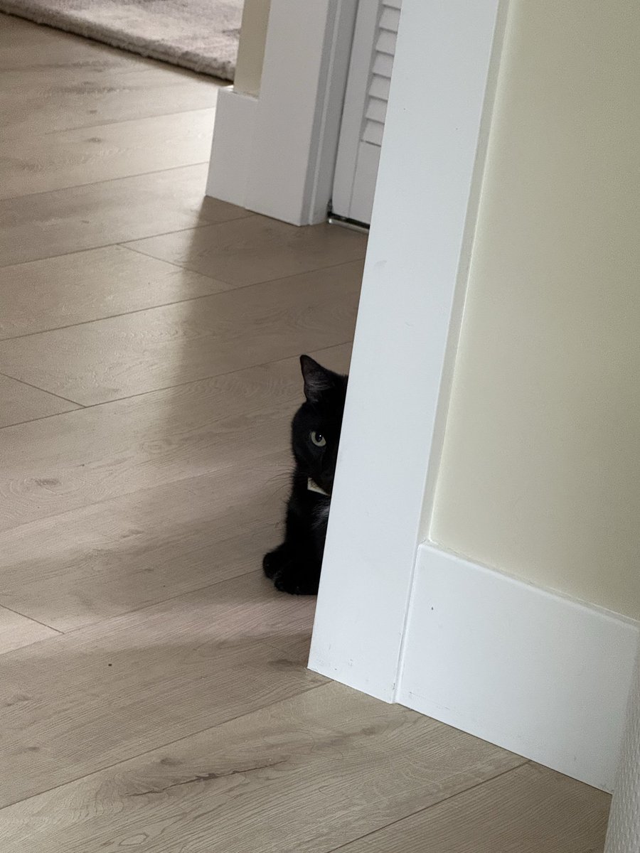 Cat Protano 🐳🧹 tweet media