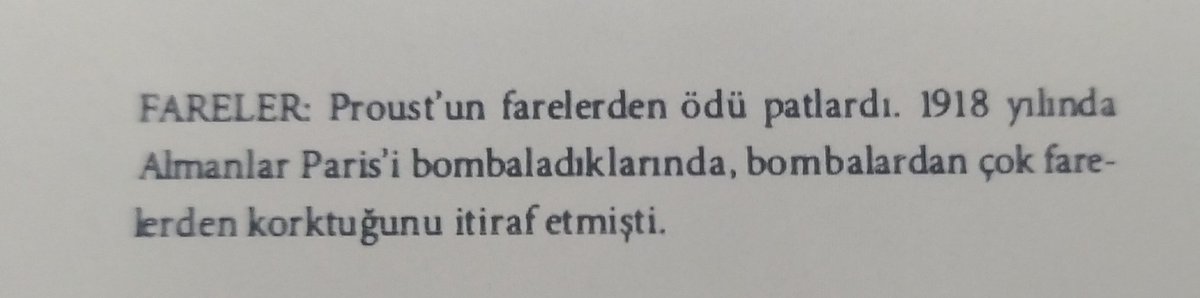 ElifLisa's tweet photo. Marcel Proust ile ortak noktamın fareler olacağını nasıl bilebilirdim ki? https://t.co/mpMagisnJw