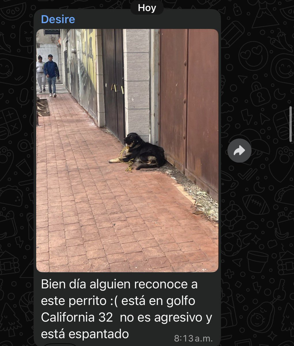 Fanii Hernan (Taylor's version) tweet media