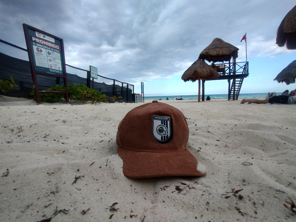 ramirezvsts's tweet photo. 🏖️🐔🧢 https://t.co/J8MtsqS4ua