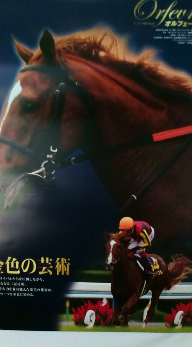 オルフェーヴル(父ステイゴールド)は2008年5月14日に誕生。2011年には