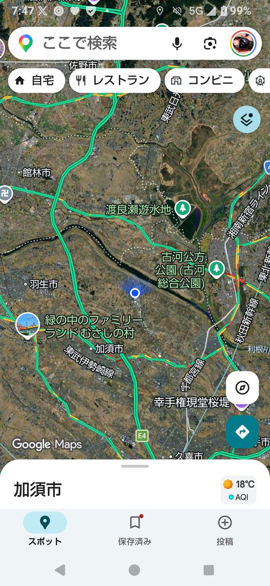 黒ぶた tweet media