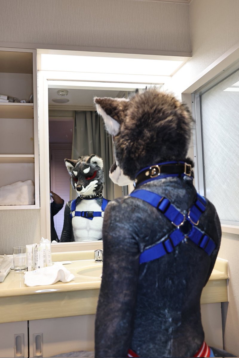 朱将［アケマサ］🐺📸 tweet media