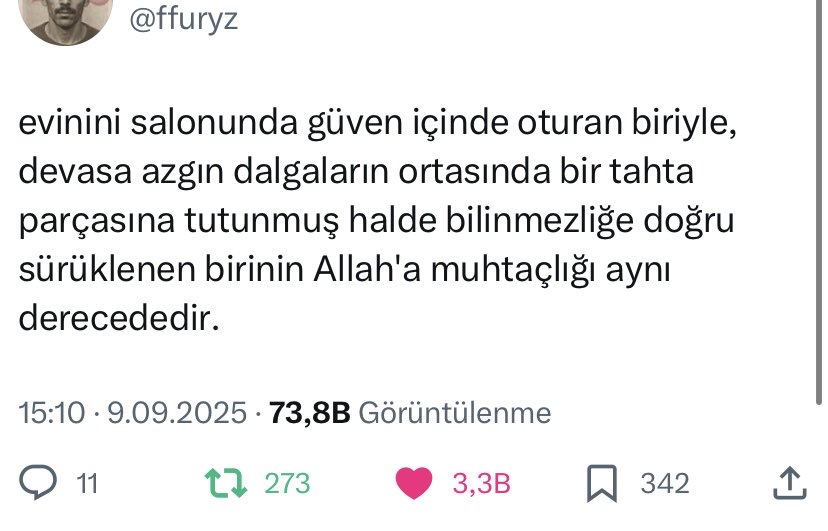evliya celebrity tweet media
