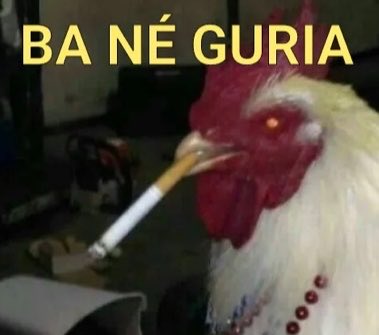 Luiz com zê tweet media