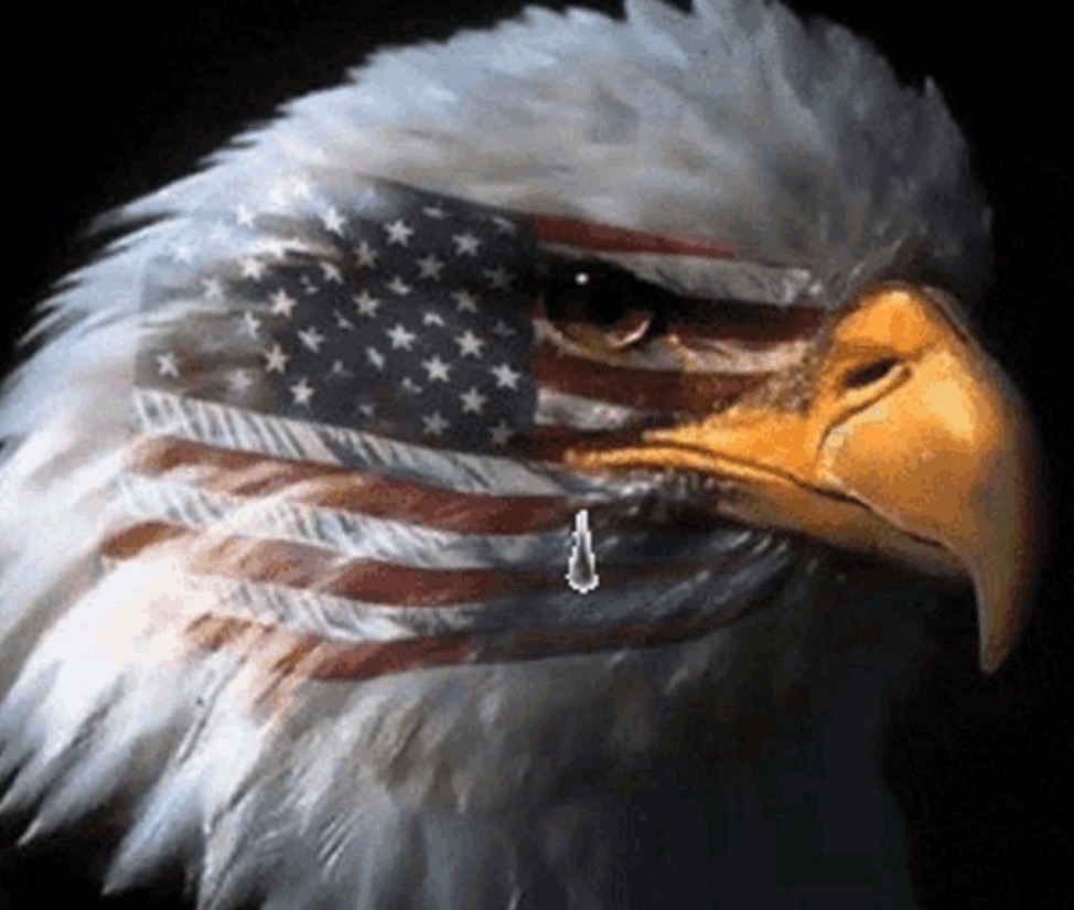 🇺🇸🇬🇧⛪️🌟theidiot‼️🏜️🇵🇭🇲🇽 tweet media