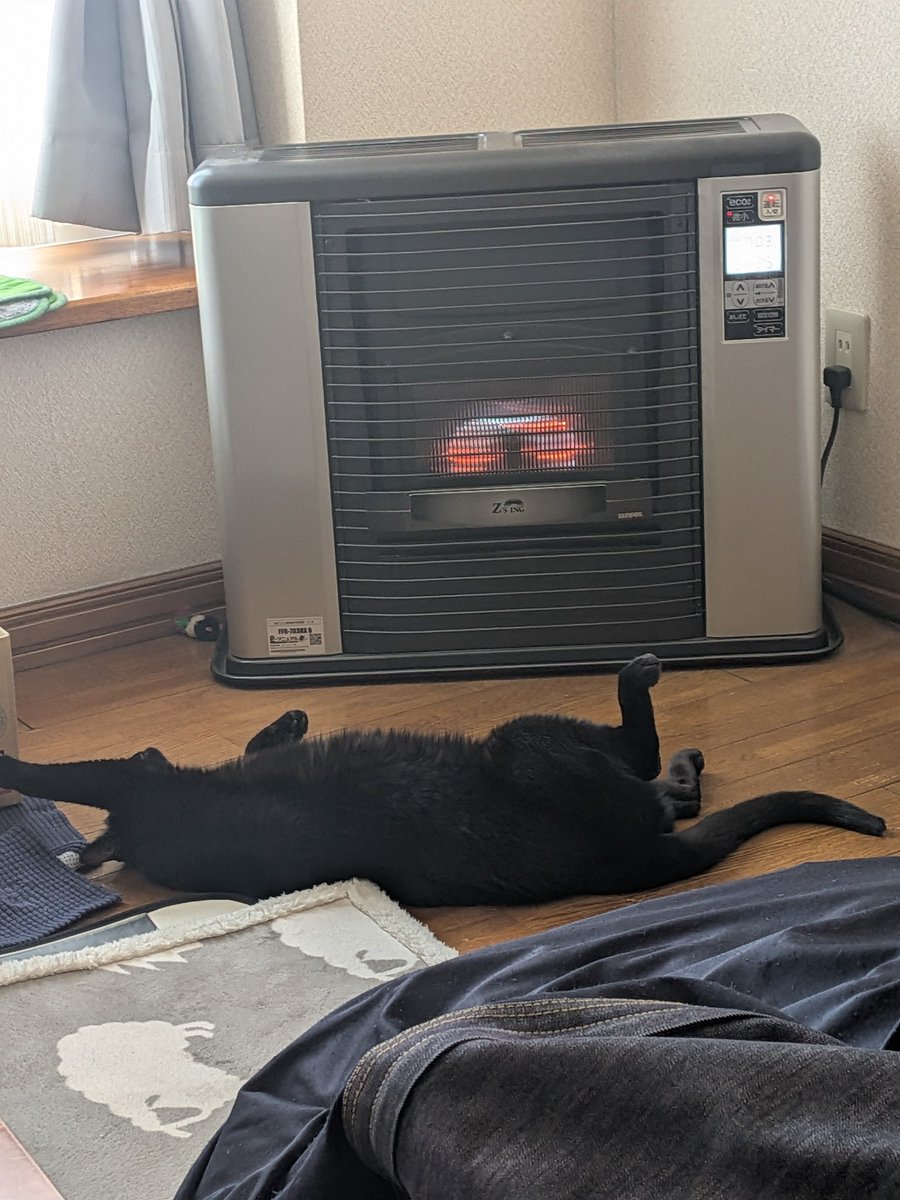 暖かいにゃーー #黒猫 #猫のいる暮らし #北海道