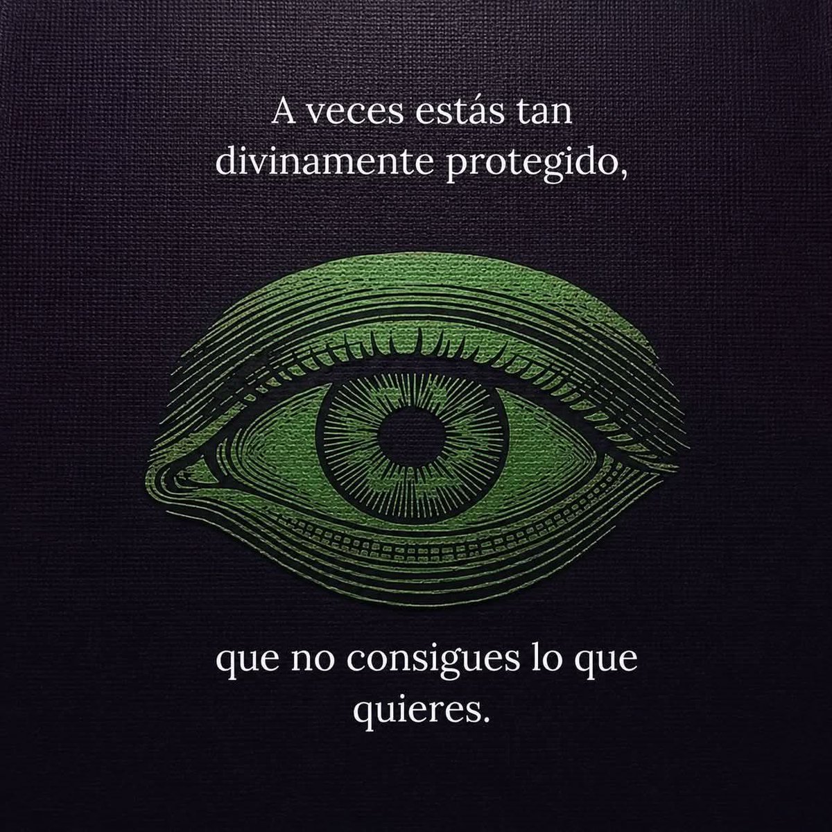 𓂀 Dan Benandanti𓂀 tweet media