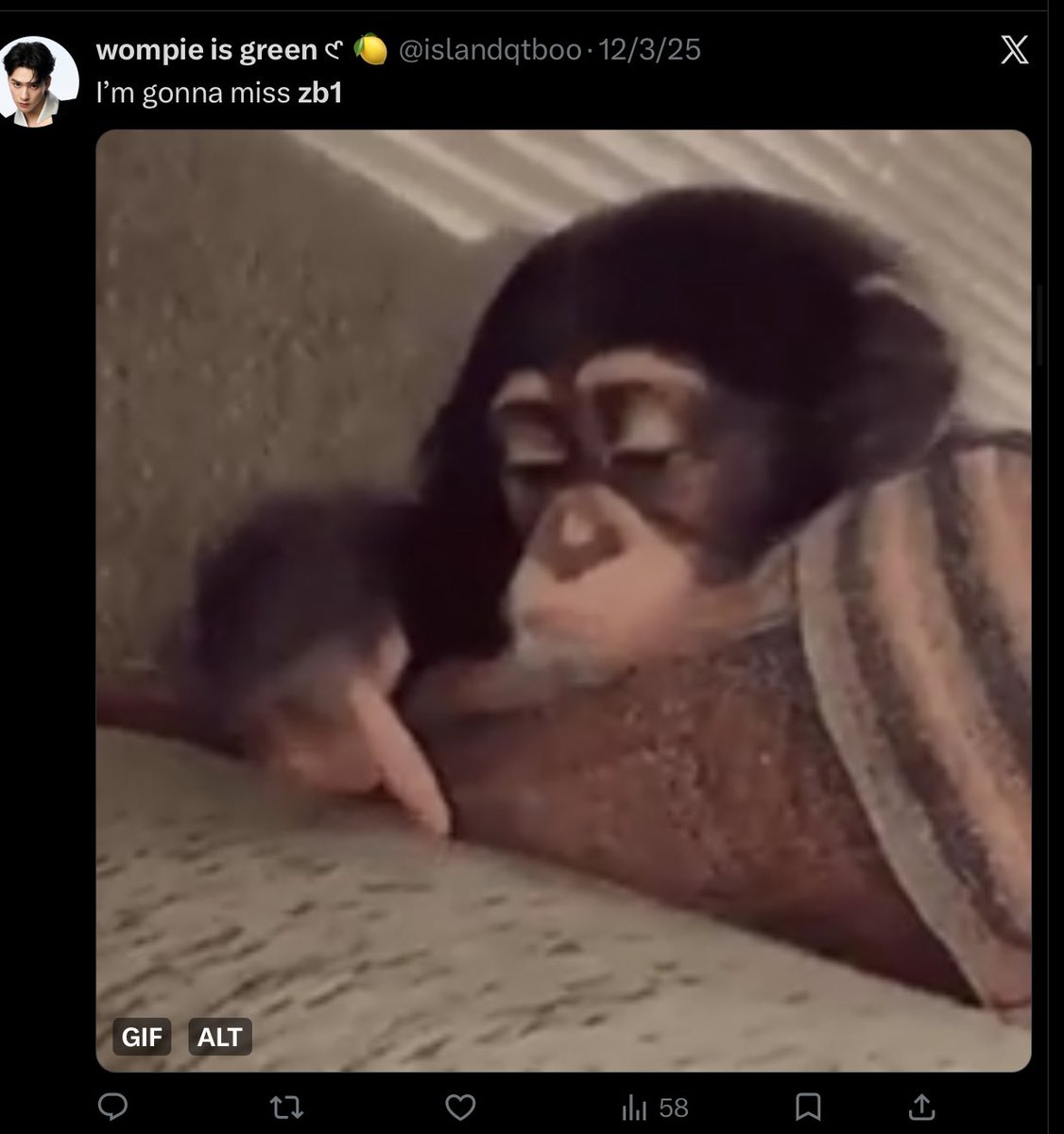 nayeoniee tweet media