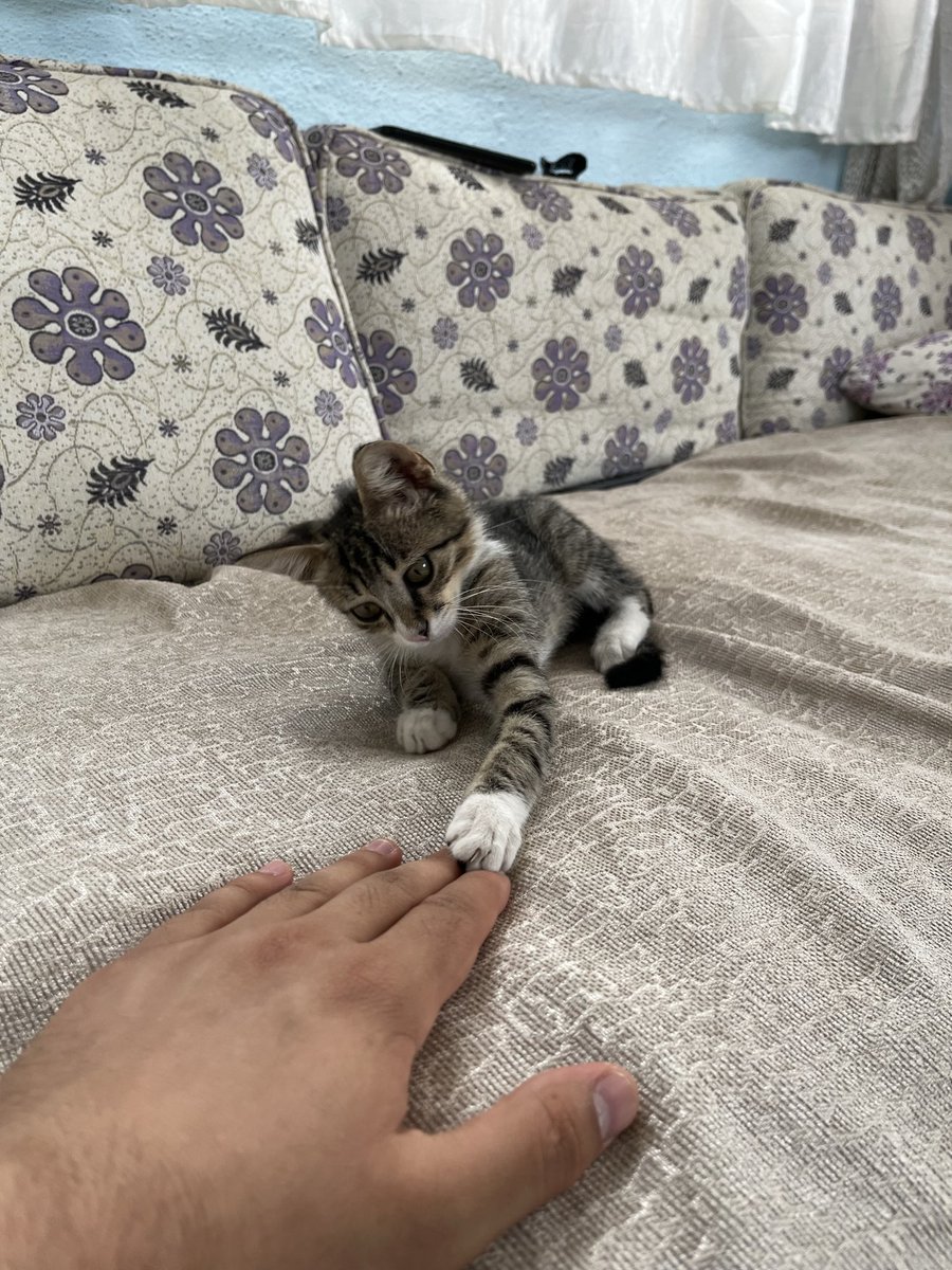 fatihcerit0's tweet photo. “Yer yüzündekilere merhamet edin ki gök yüzündekilerde size merhamet etsin.” https://t.co/e1GXfoWwxl