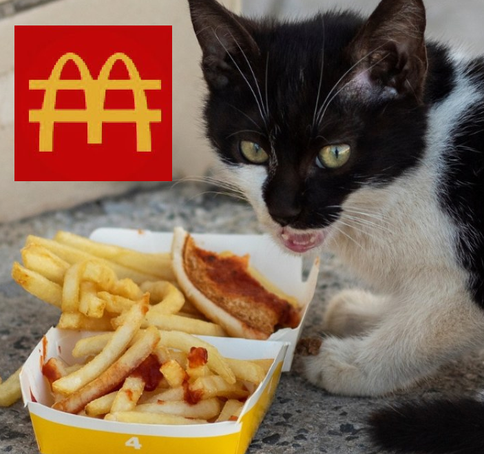 MeekoMister's tweet photo. @mouse6900 @MCDCcto One man's trash is another cats meal. https://t.co/8tvCFxlFBe