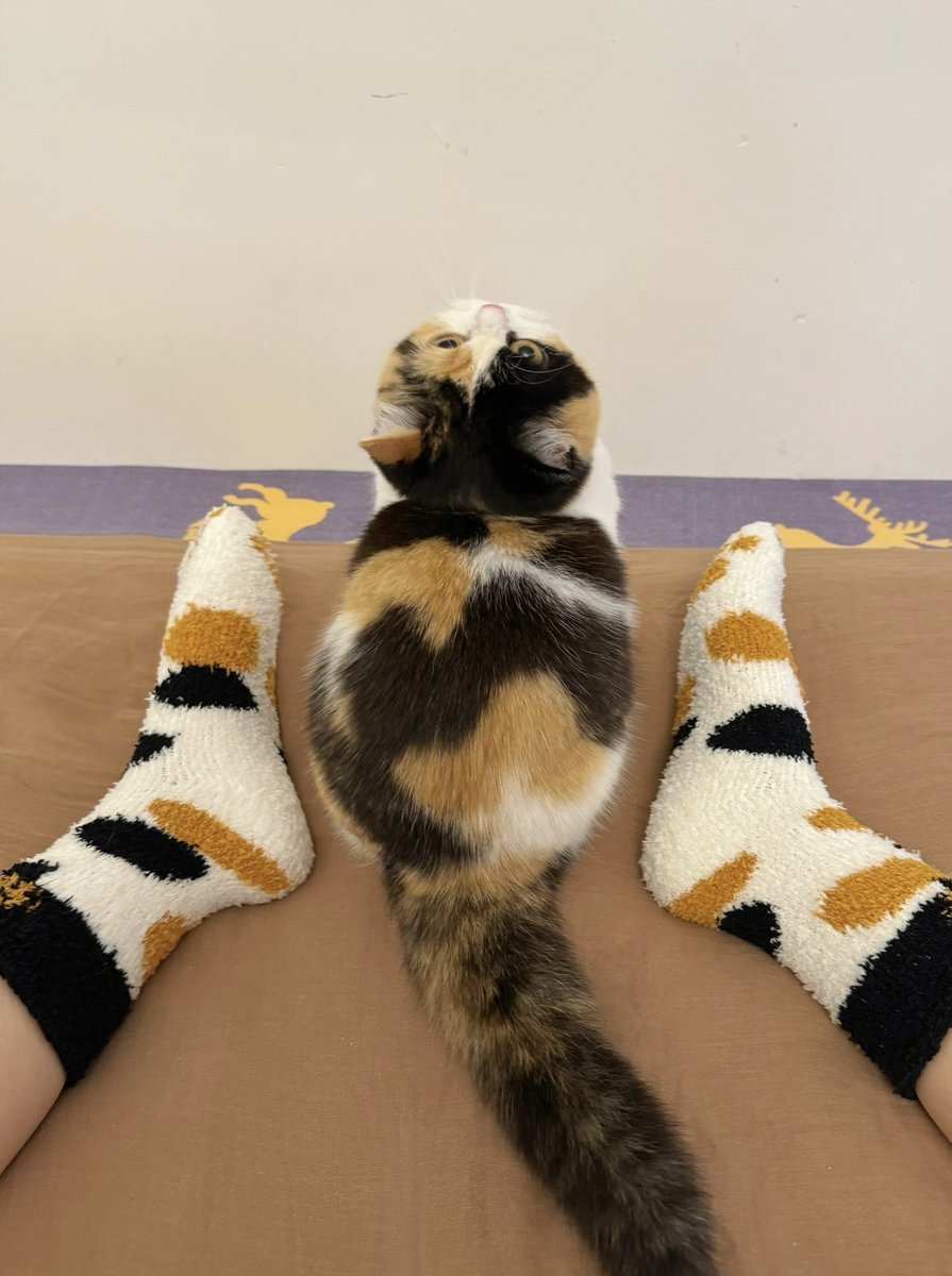 Kiki tweet media